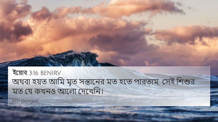 ইয়োব 3:16 BENIRV Bible Verse Image