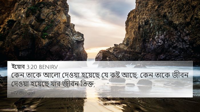 ইয়োব 3:20 BENIRV Bible Verse Image