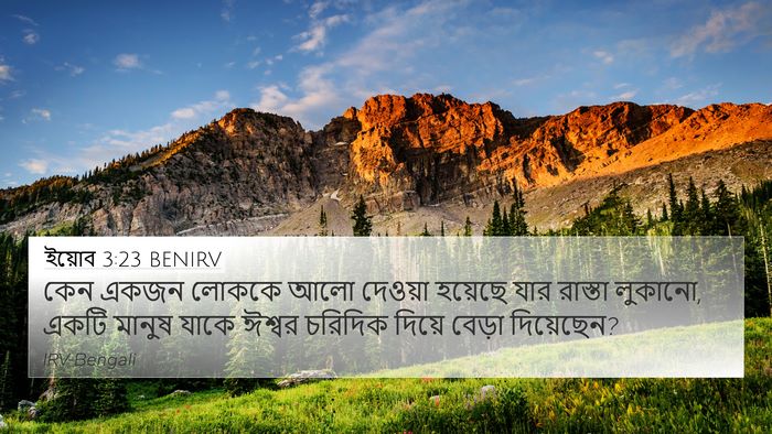 ইয়োব 3:23 BENIRV Bible Verse Image