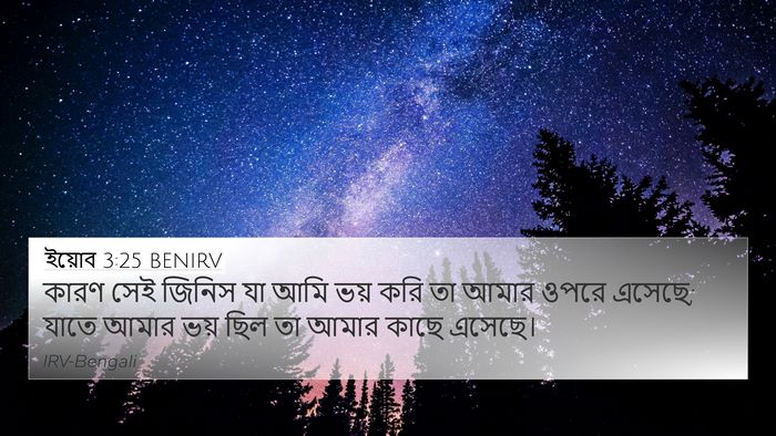 ইয়োব 3:25 BENIRV Bible Verse Image