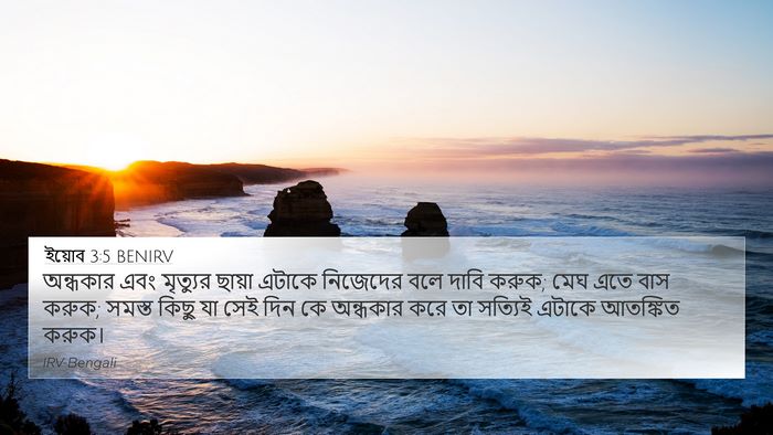 ইয়োব 3:5 BENIRV Bible Verse Image