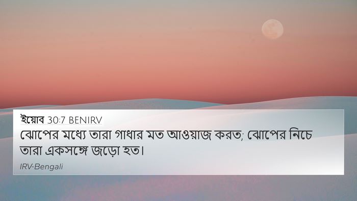 ইয়োব 30:7 BENIRV Bible Verse Image