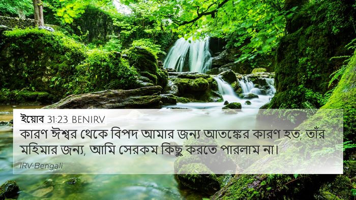 ইয়োব 31:23 BENIRV Bible Verse Image