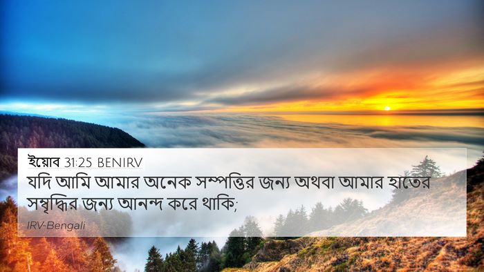 ইয়োব 31:25 BENIRV Bible Verse Image
