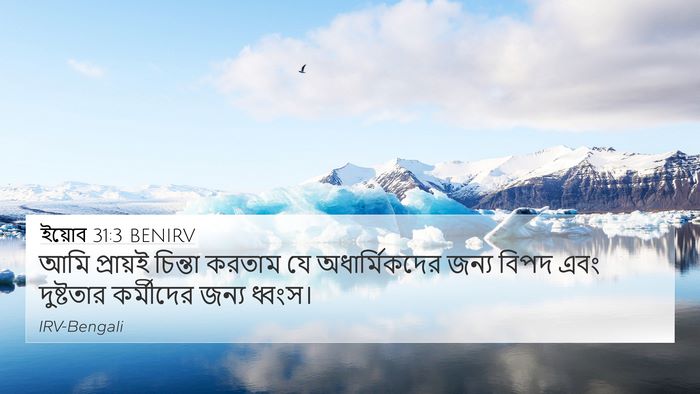 ইয়োব 31:3 BENIRV Bible Verse Image