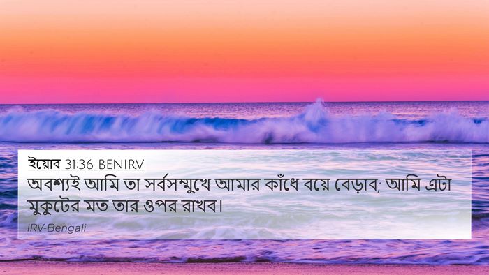 ইয়োব 31:36 BENIRV 4K Wallpaper - অবশ্যই আমি তা - 4K Wallpaper Bible Verse