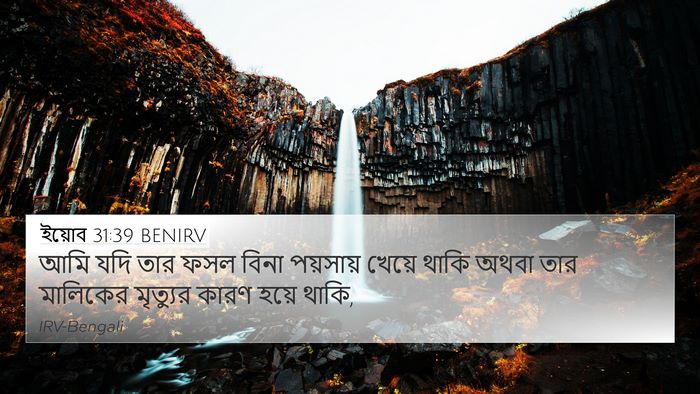 ইয়োব 31:39 BENIRV Bible Verse Image