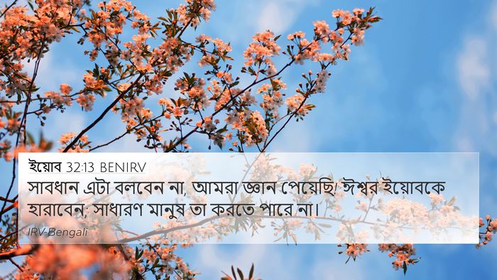 ইয়োব 32:13 BENIRV Bible Verse Image