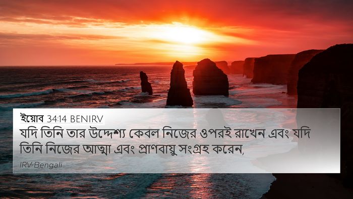 ইয়োব 34:14 BENIRV Bible Verse Image