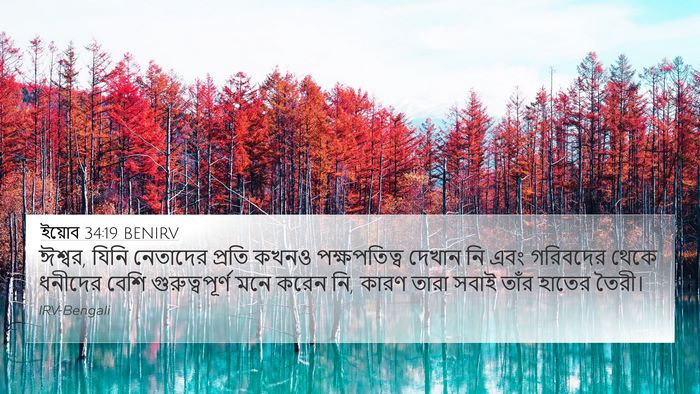 ইয়োব 34:19 BENIRV Bible Verse Image
