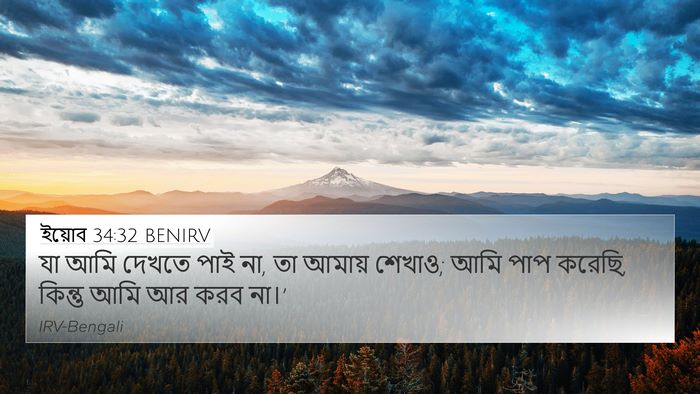 ইয়োব 34:32 BENIRV Bible Verse Image