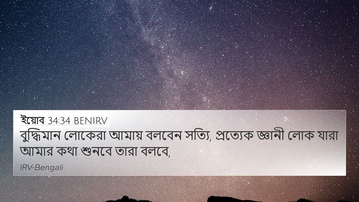 ইয়োব 34:34 BENIRV Bible Verse Image