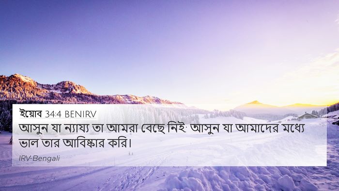 ইয়োব 34:4 BENIRV Bible Verse Image