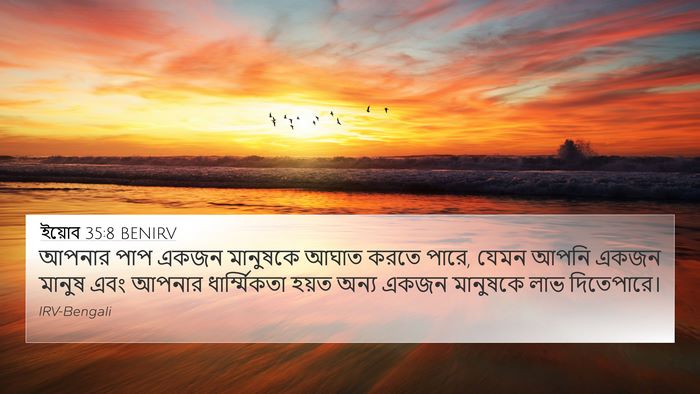 ইয়োব 35:8 BENIRV 4K Wallpaper - আপনার পাপ একজন - 4K Wallpaper Bible Verse