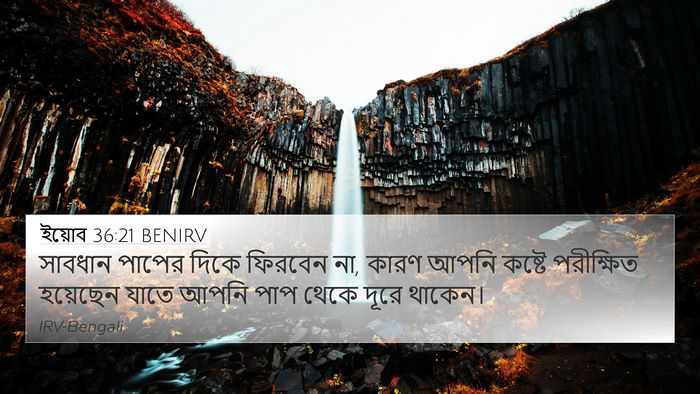 ইয়োব 36:21 BENIRV Bible Verse Image