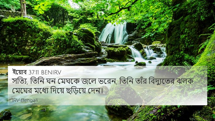 ইয়োব 37:11 BENIRV Bible Verse Image