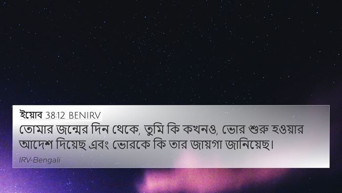 ইয়োব 38:12 BENIRV Bible Verse Image