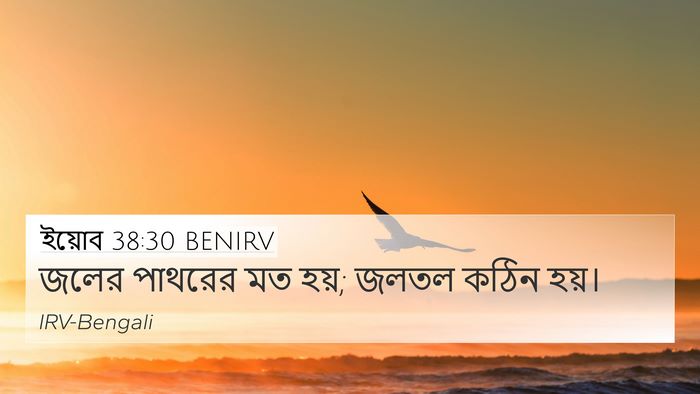 ইয়োব 38:30 BENIRV Bible Verse Image