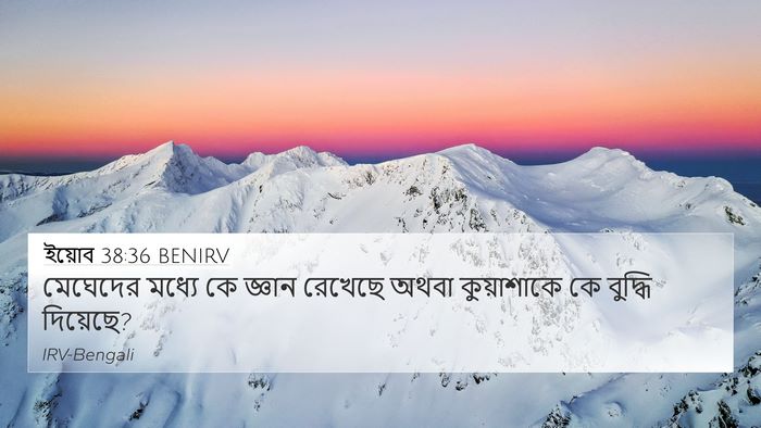 ইয়োব 38:36 BENIRV Bible Verse Image