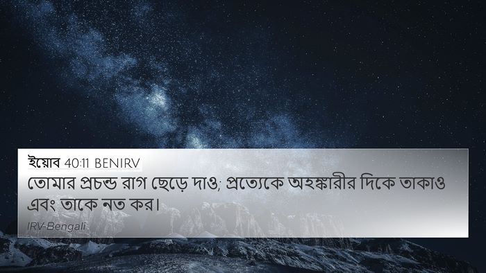 ইয়োব 40:11 BENIRV Bible Verse Image
