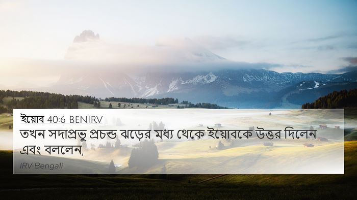 ইয়োব 40:6 BENIRV 4K Wallpaper - তখন সদাপ্রভু - 4K Wallpaper Bible Verse