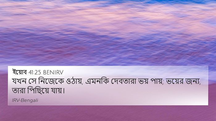 ইয়োব 41:25 BENIRV Bible Verse Image