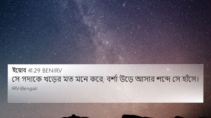 ইয়োব 41:29 BENIRV Bible Verse Image