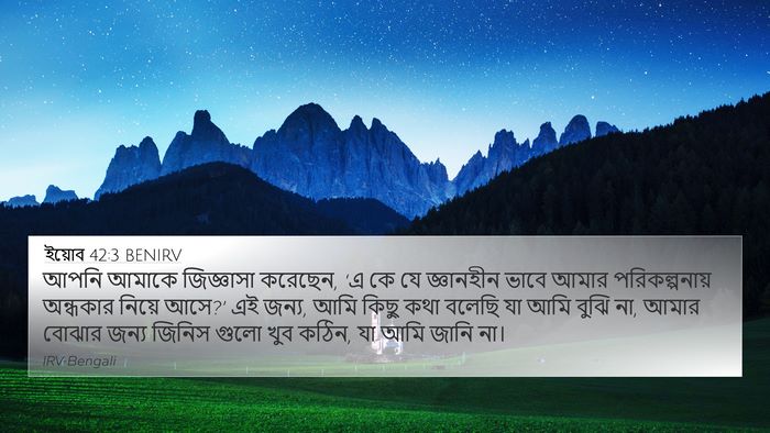 ইয়োব 42:3 BENIRV Bible Verse Image