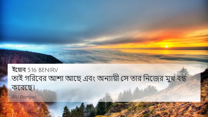 ইয়োব 5:16 BENIRV Bible Verse Image