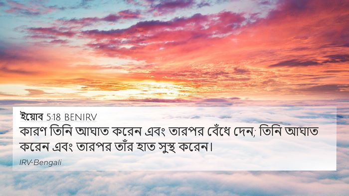 ইয়োব 5:18 BENIRV Bible Verse Image