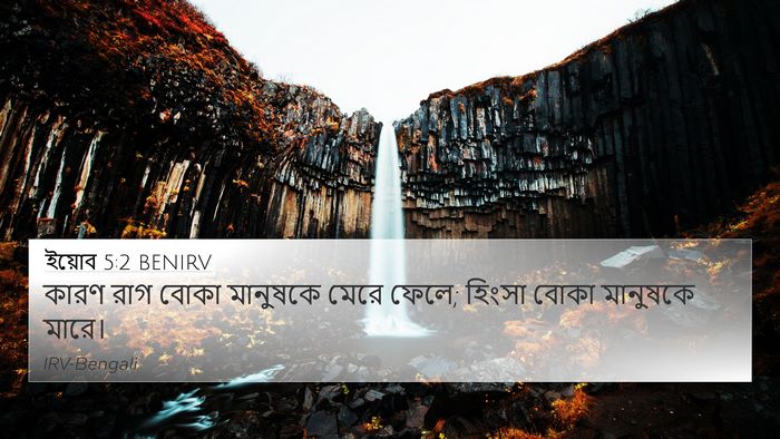 ইয়োব 5:2 BENIRV Bible Verse Image