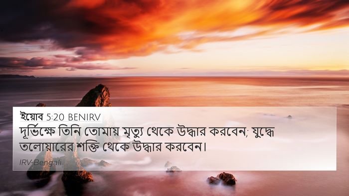 ইয়োব 5:20 BENIRV Bible Verse Image
