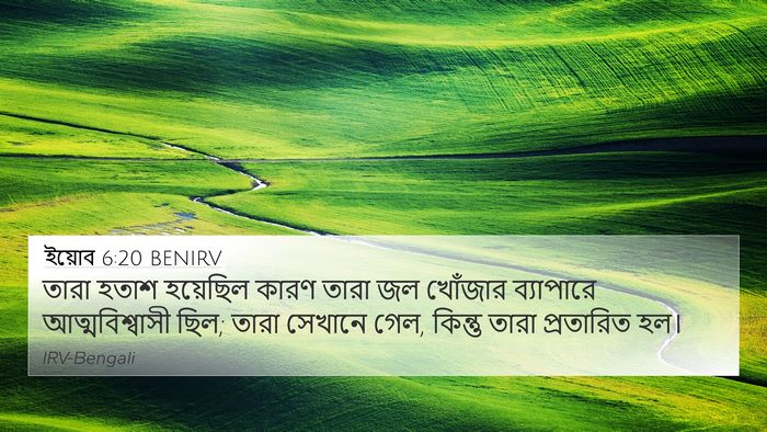 ইয়োব 6:20 BENIRV Bible Verse Image