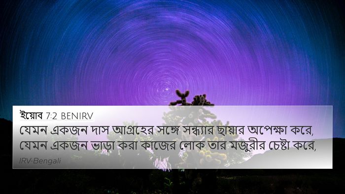 ইয়োব 7:2 BENIRV 4K Wallpaper - যেমন একজন দাস - 4K Wallpaper Bible Verse