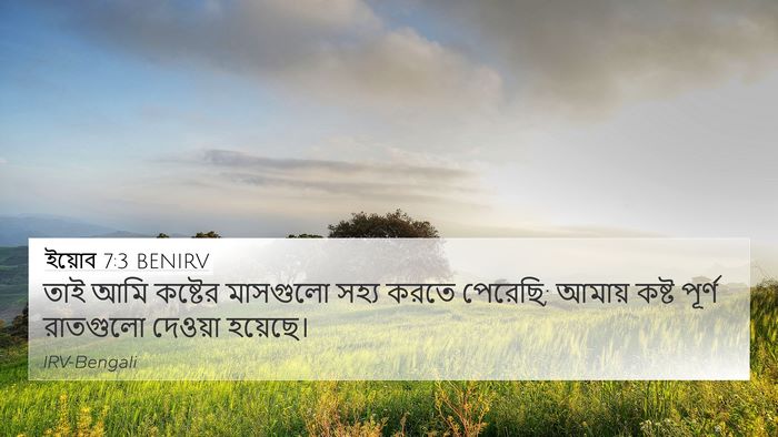 ইয়োব 7:3 BENIRV Bible Verse Image