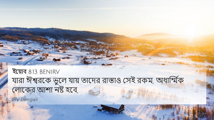 ইয়োব 8:13 BENIRV Bible Verse Image