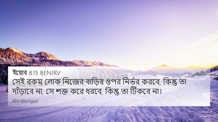 ইয়োব 8:15 BENIRV Bible Verse Image