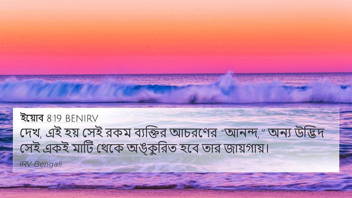 ইয়োব 8:19 BENIRV Bible Verse Image