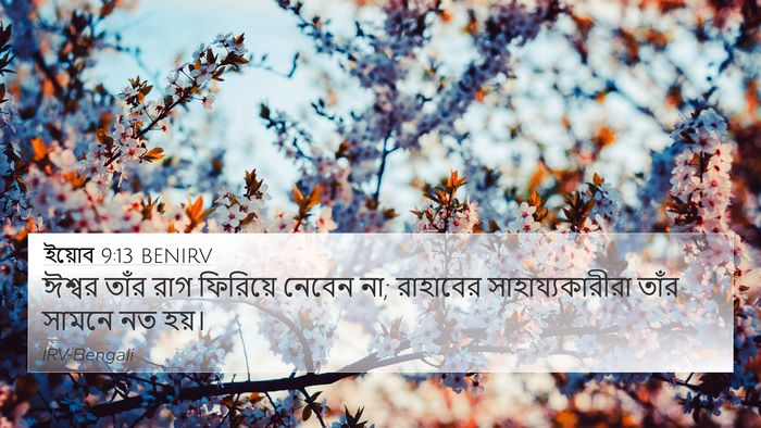 ইয়োব 9:13 BENIRV Bible Verse Image