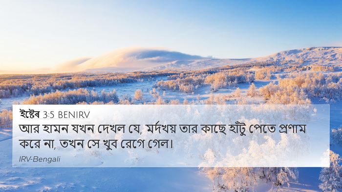 ইষ্টেৰ 3:5 BENIRV Bible Verse Image