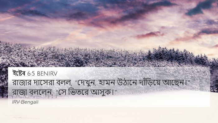 ইষ্টেৰ 6:5 BENIRV 4K Wallpaper - রাজার দাসেরা বলল, - 4K Wallpaper Bible Verse