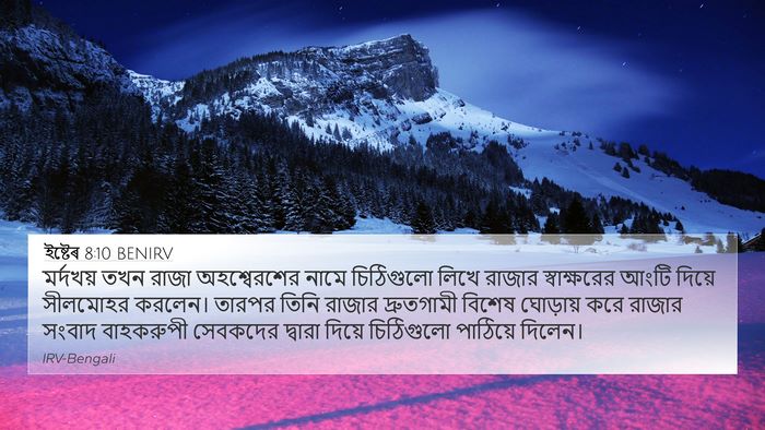 ইষ্টেৰ 8:10 BENIRV Bible Verse Image