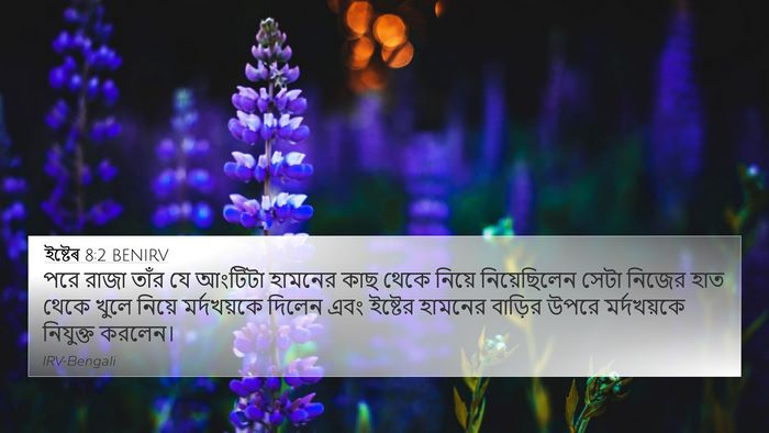 ইষ্টেৰ 8:2 BENIRV Bible Verse Image