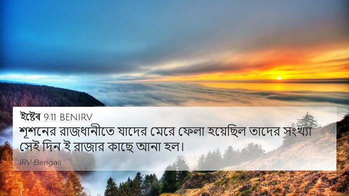 ইষ্টেৰ 9:11 BENIRV Bible Verse Image