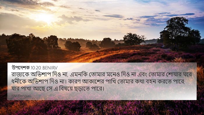 উপদেশক 10:20 BENIRV Bible Verse Image