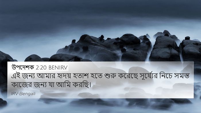 উপদেশক 2:20 BENIRV Bible Verse Image