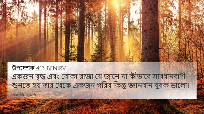 উপদেশক 4:13 BENIRV 4K Wallpaper - একজন বৃদ্ধ এবং - 4K Wallpaper Bible Verse