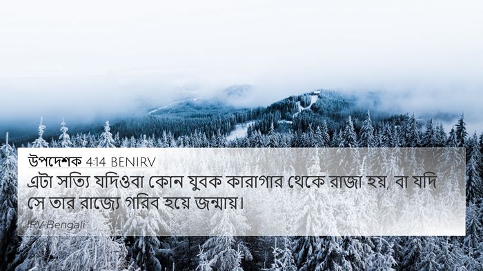 উপদেশক 4:14 BENIRV Bible Verse Image