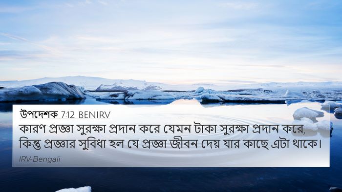 উপদেশক 7:12 BENIRV Bible Verse Image