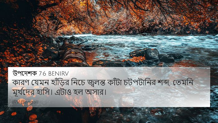 উপদেশক 7:6 BENIRV Bible Verse Image